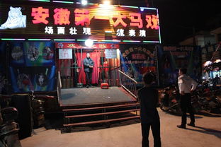 惠州市营业性演出管理规范与文化活动发展探讨